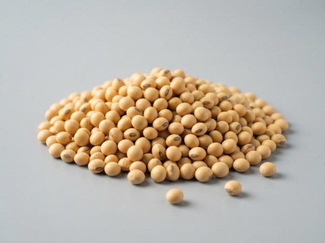 Soybeans (Soja)